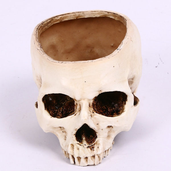 Halloween Hollow Scary Skull Plant Pot Dry Soot Resin Simulation