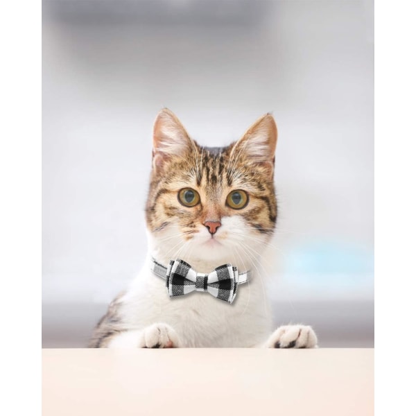 Black and White, Anti Strangling Cat Collar, Cat Collar with Bell