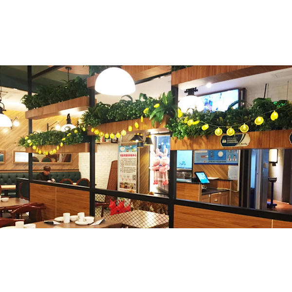 Juledekorationer til hjemmet Led Citron Strenglys 5M 30LEDs