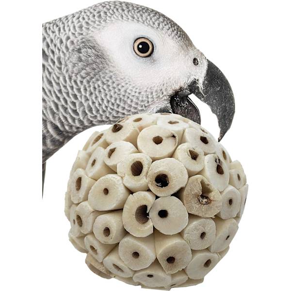Naturlig Sola Ball Mjuk Tugga Strimla Foder Sök Papegoja Amazon, Nymfparakit