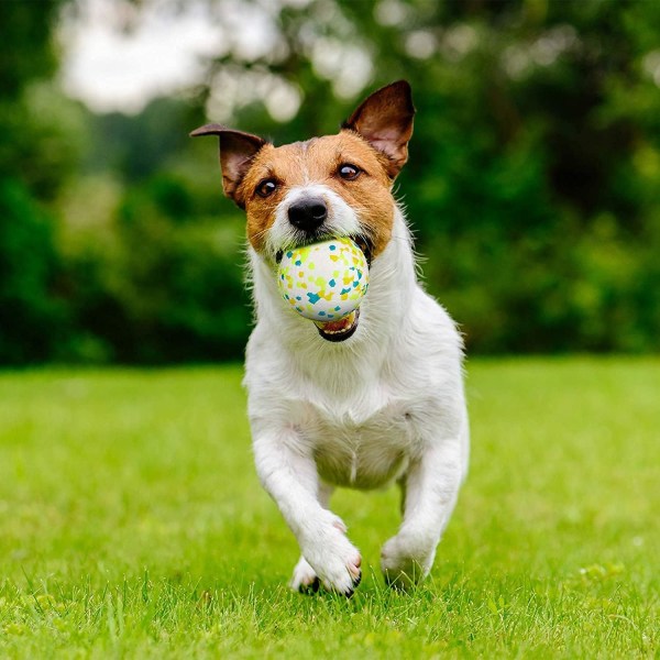 Hundboll, gummihundboll, oförstörbar hundboll, hårdtugggummi