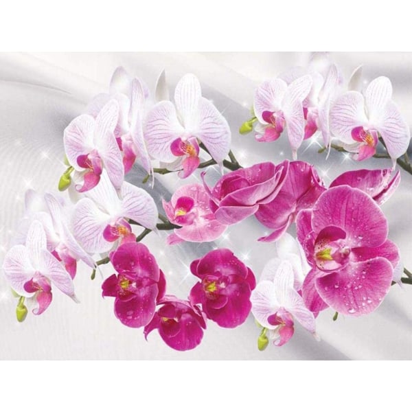 30 x 40 cm aikuisten lasten 5D tee-se-itse timanttitaidemaalaussarja - Phalaenopsis