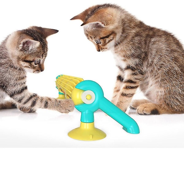 Sugkopp husdjur katt retas spårboll leksak interaktiv med kattmynta ljusboll massage leksaker