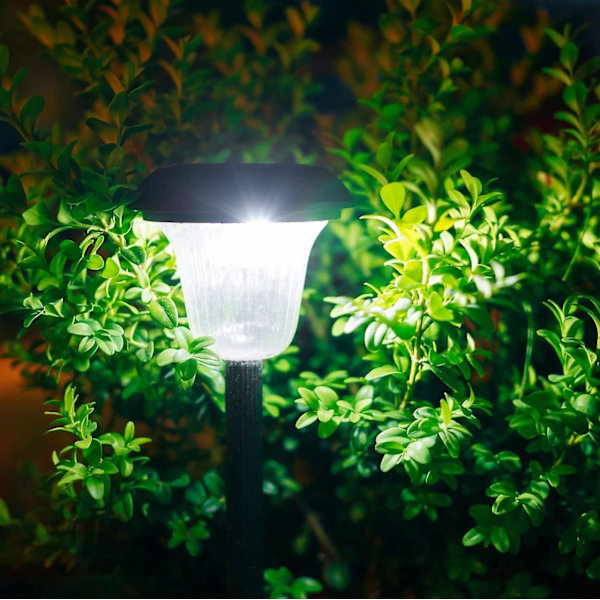 10 stk. G4 LED-pære, g4 12 lamper AC/DC12V halogenpæreækvivalent til lysekrone, hvid 6000k-6500k