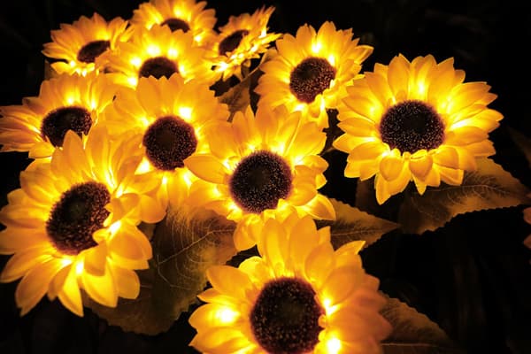 2 stk. solsikke solcellelamper, holdbare, vanntette, oppladbare LED
