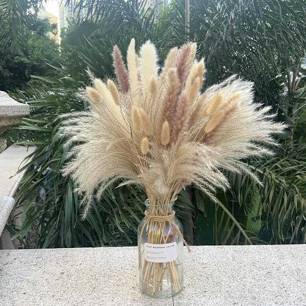 Tørret Naturlig Pampas Græsland 80 stk 42,5 cm 15 stk hvid 15