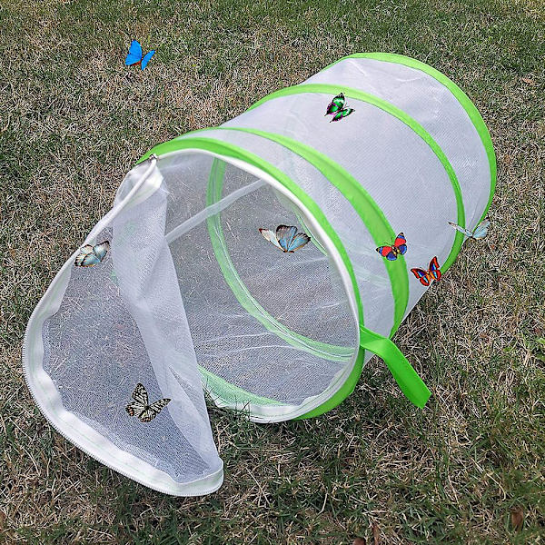 Insekt og sommerfuglehabitat bur net foldbar beholder