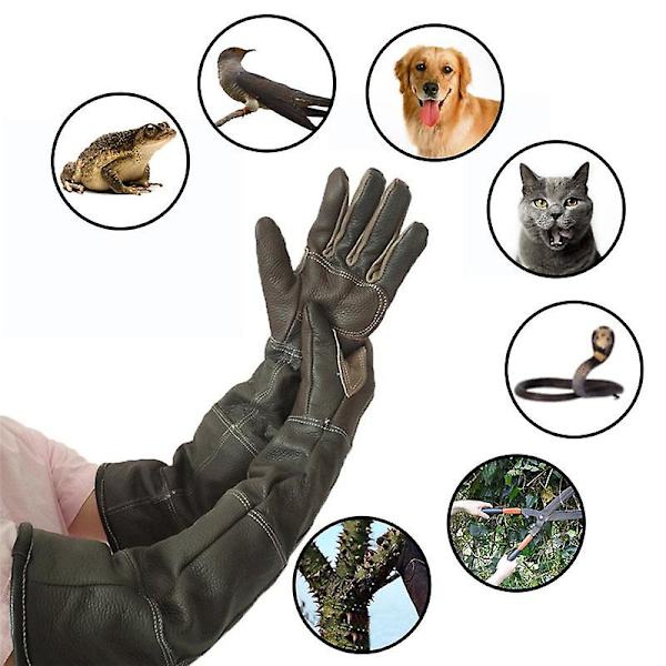 Pet handsker i kohudlæder, anti-greb, anti-bid, beskyttende handske