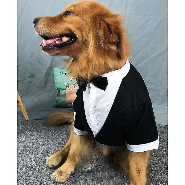 Stor Hund Smoking Bröllopsfest Set Hund Kostym För Stor Hund Golden Retriever Satsuma Bulldog XL Grå