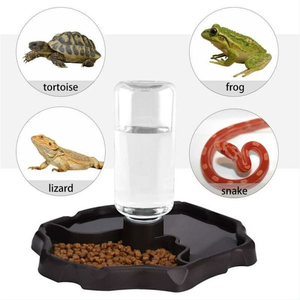 Blå Sø Reptil Vanddispenser, Skildpadde Vandautomat, Skildpadde Skål