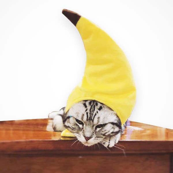 En bananformet kattehat, der kan bruges til
