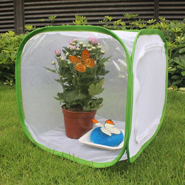 Hyönteinen Perhonen Habitat Suuri Perhonen Habitat Häkki Kokoontaitettava Hyönteinen Perhonen Net Perhonen Talo Lapsille（30*30*30cm）