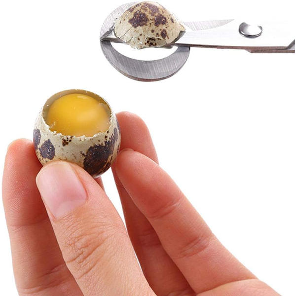 2 st quail sax, rostfritt stål äggsax, vaktelägg