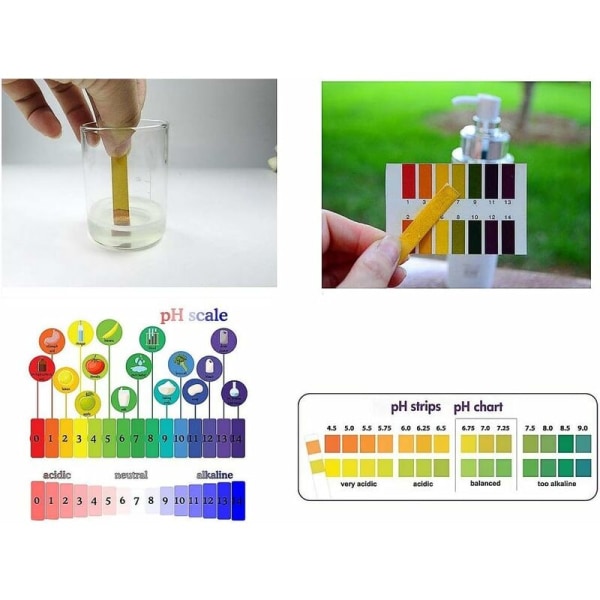 Sonnenblume pH 1–14 Papirstrimmelhefte – Ideelt for å teste mange vanlige stoffer, inkludert sitronsaft, melk, flytende vaskemiddel osv.，（3 stk）