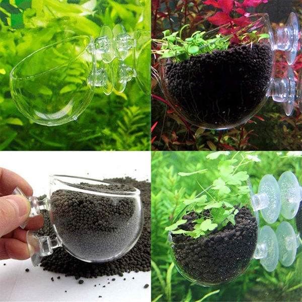 Akvarieglassplanter 4 stykker Akvarieglassplanter Krystall Gl