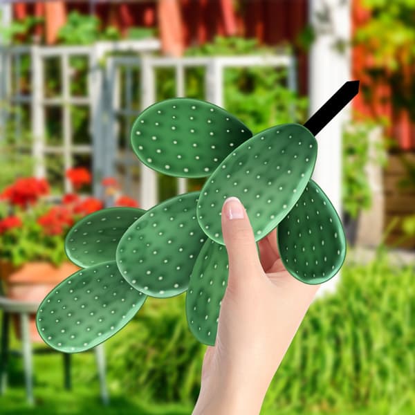 Udendørs akryl 3D-kaktus til terrasse