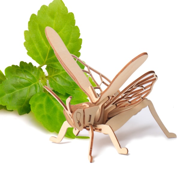 Children's DIY wooden toys 8 insect splicing assembly model three-dimensional puzzle manual puzzle brain toys butterfly bee dragonfly beetle, etc.