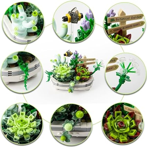 1 st Mini Succulent Bonsai Byggsats, Succulent Växter B