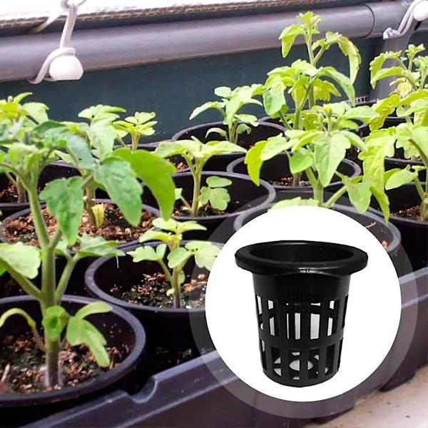 40 stk. Have Net Cups, Hydroponics Net Pots Have Slottet Mesh Net Cups Plante Børnehave Potter Rund Spand Kurv