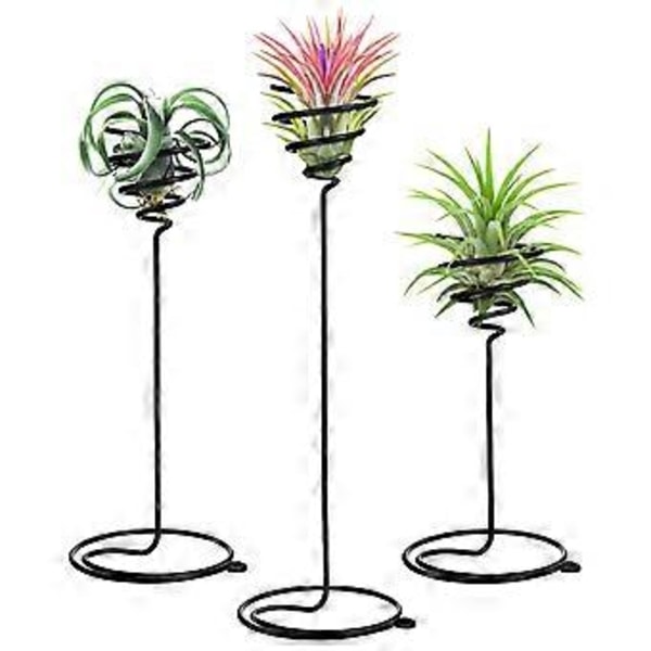 3 st Tillandsia Ställ Luftväxt Hållare Spiral Blomma Visningsställ Skrivbord Tillandsia Hållare
