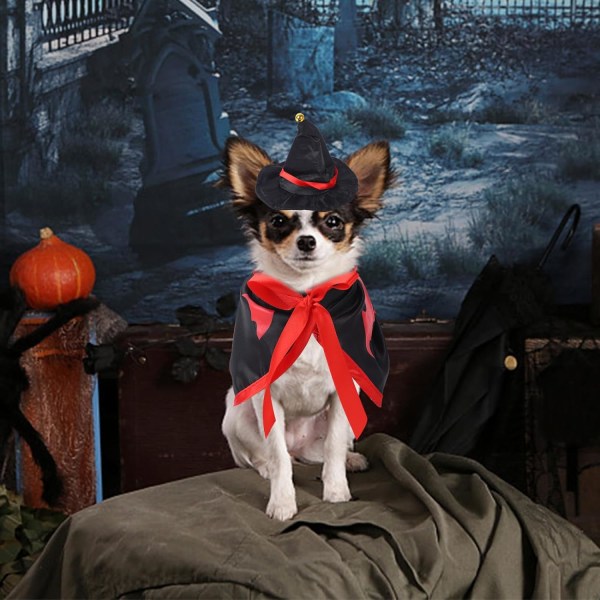 (Flagermus) Halloween Hundekostume, Kæledyr Halloween Kostume Hund Kappe Kat