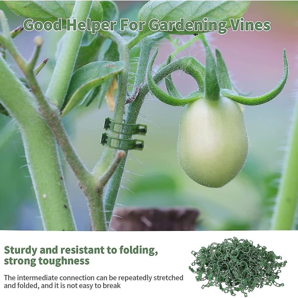 150 st växtklämmor, gröna klämmor, för tomater och andra vinväxter Plasttomatklämmor för stöd Druvspaljé för vingrönsaker
