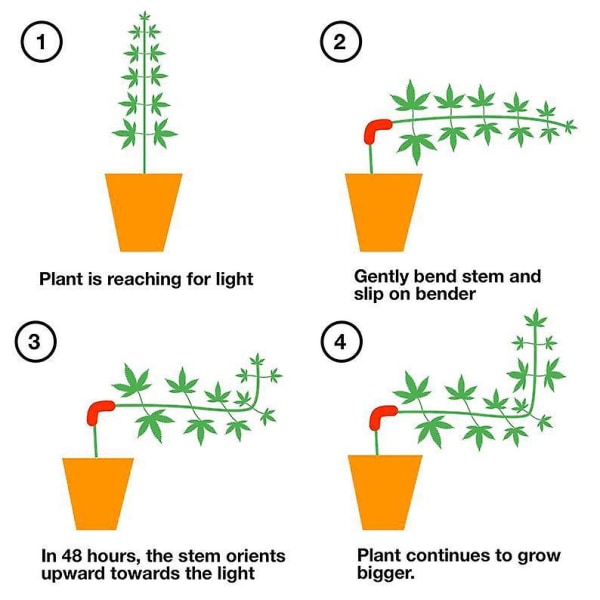 30 st Plant Trainer för Low Stress Training Plant Bender Clips Trädgård Plant Clips Plant Training Planter Fixing Clip för att stödja blomma vin tomat