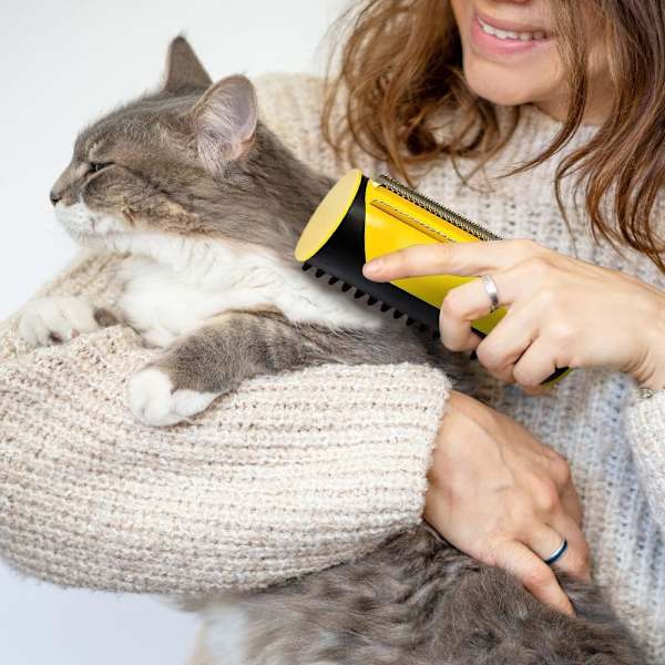 Pet Dematting Comb, Coat King Rake Pet Undercoat Rake Double Sided Blade C