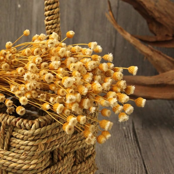2 buketter med 60 brasilianska naturliga torkade blommor - små dekorativa