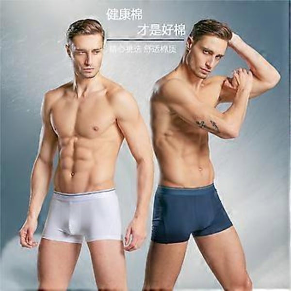 Herrkalsonger Boxertrosor Fukttransporterande Bomull No-Ride-Up 6-pack white xxl