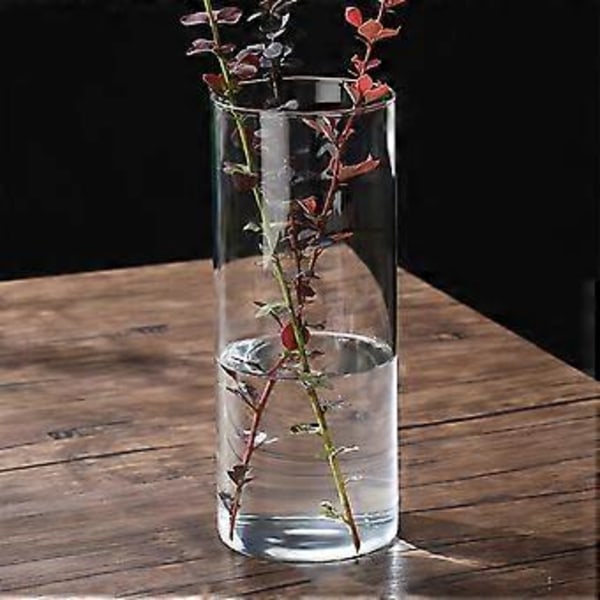 Klar Glass Blomstervase Minimalistisk Glassvase Sylinder Blomstervase for Bryllup Stue Dekorativ Gave 10x25cm