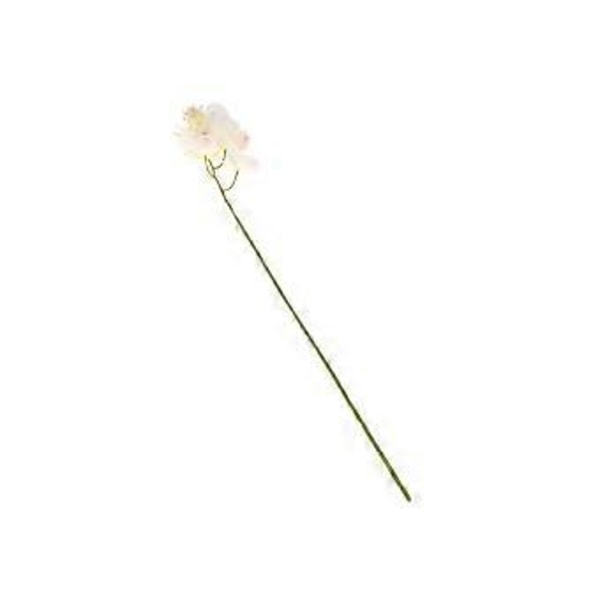 Falska fjärilsorkidéblommor - 6 huvuden vit sideninredning