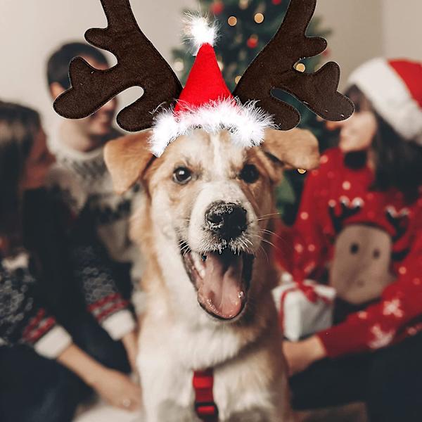 Jul husdjur ren kostym hornhatt keps justerbar jul jul huvudbonad för katt valp liten hund