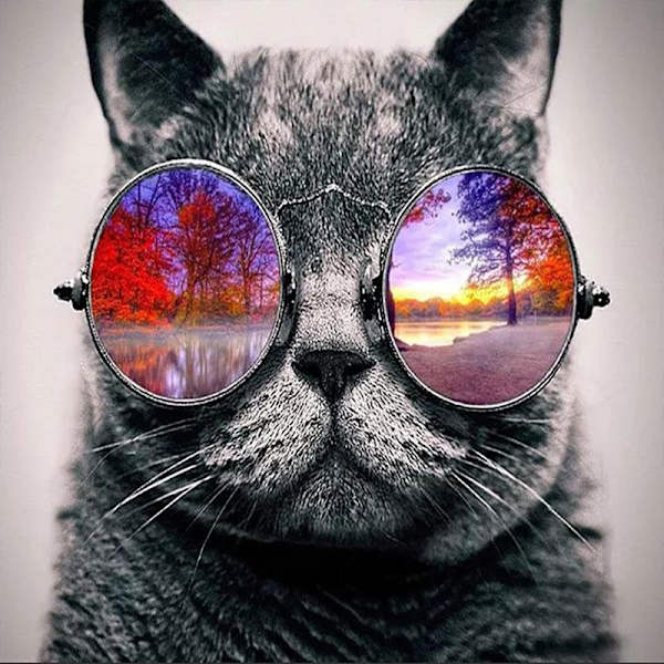 30x40cm Vuxna Barn 5D DIY Diamantmålning Kit - Cool Cat Wea