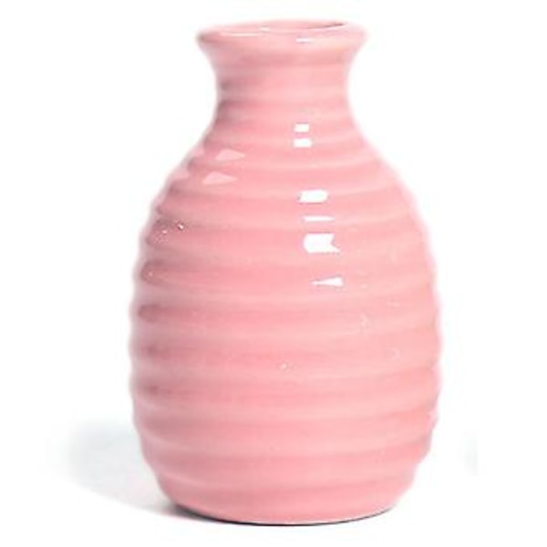 Hydroponisk Keramisk Vas för Växter Kreativ Främjar Hälsosam Tillväxt Planteringskärl för Vardagsrum Sovrum Arbetsrum Pink