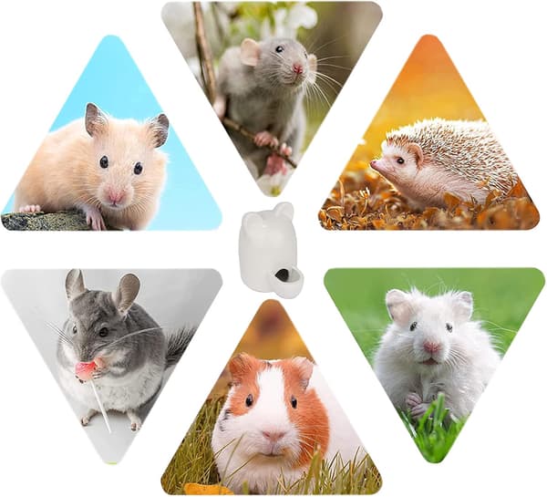 Keramisk hamsterflaske, hamsterfoder skål, keramisk hamster vand