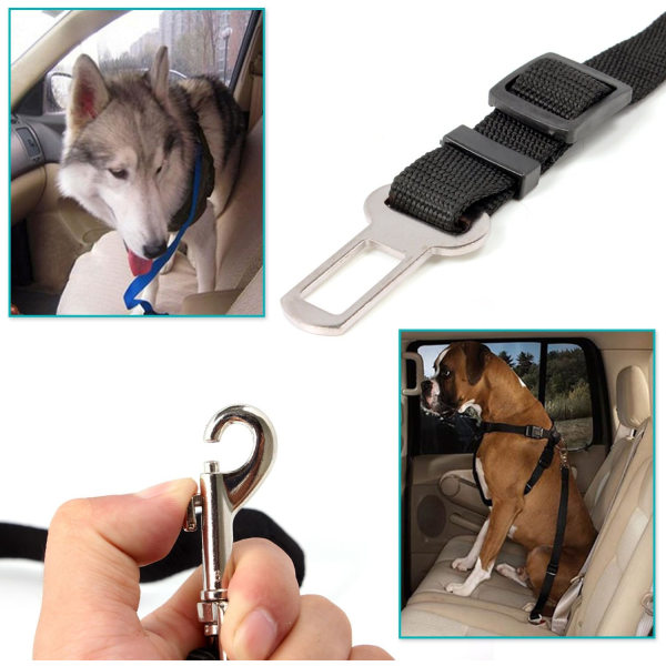 2X hund/katt/kjæledyr sikkerhetsbeltebånd for bilseter - svart