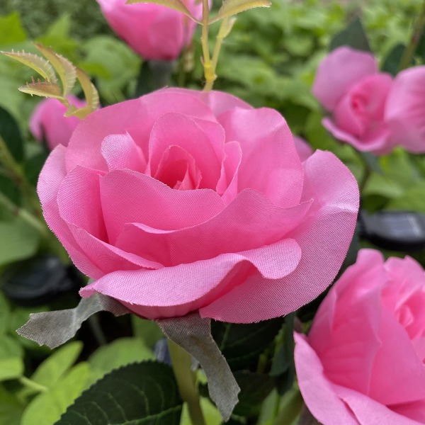 2-pack solar trädgårdslampor, dekorativa utomhussolblommor 3 rose, uppgraderad vattentät trädgårdsdekor (rosa)