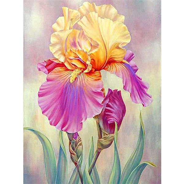 DIY 5D timanttimaalaussetti aikuisille, täysi timanttikristalli timanttimaalaus Iris-kukka, strassi-kirjonta, ristipisto 0x40cm
