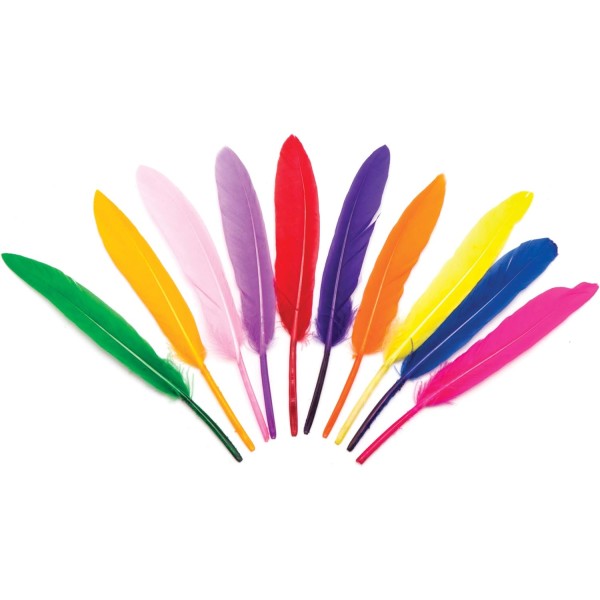 Mini Colorful Feathers, Kids Craft Supplies (100 Pack)