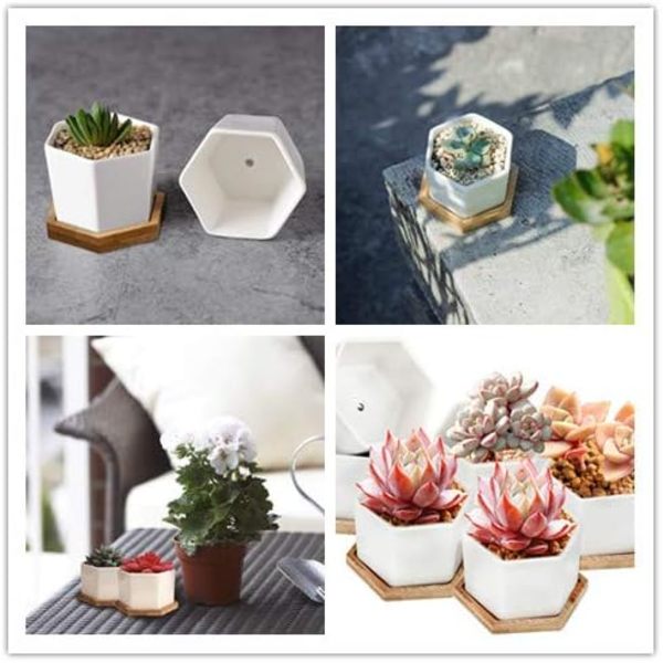 Saftige blomsterpotter, kaktuspotter, små blomsterpotter, mini blomsterpotter