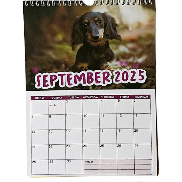 Cheeky Dachshunds - 2025 Väggkalender Nyårsgåvor Present Väggkalender Pappersväggdekor Tidsplaneringsväggkalender