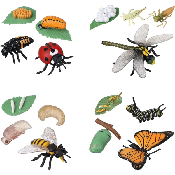 16 pakke insektlegetøjs livscyklus for sommerfugl, bi, guldsmede og L