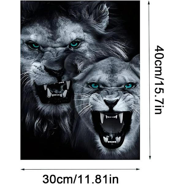 5D timanttimaalaussarjat, DIY Lions timanttimaalaussarjat, 30 x 4