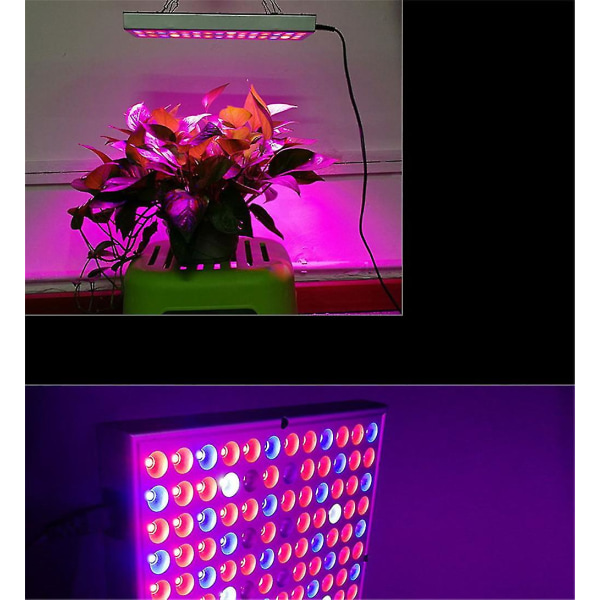 Yhdysvaltain sääntelemät Kartokner 45w Led Full Spectrum -kasvikasvatuslamput