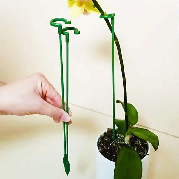 30 st trädgårdsstöd för växter, enstaka stjälkar, blomsterstöd, orkidé, P