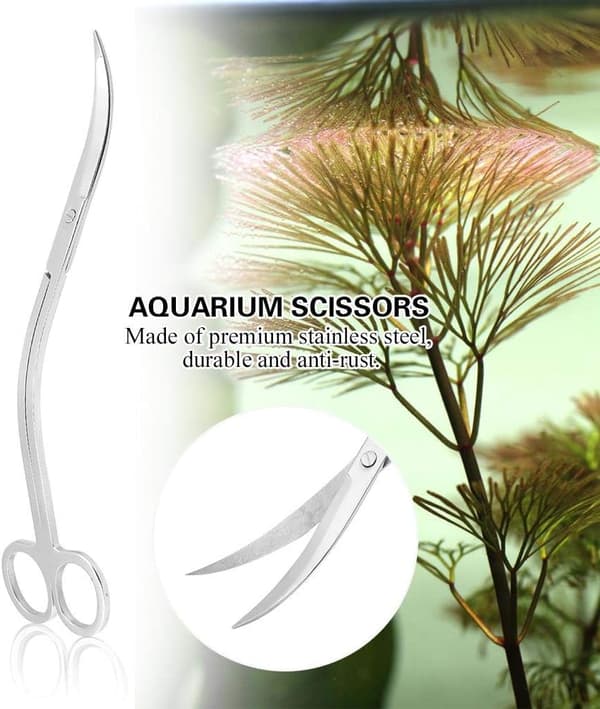 Akvarieplante Saks Rustfrit Stål Glassaks Buet Sci