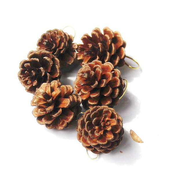 18 stk. fyrrekoglevedhæng, julekoglepynt, Decora