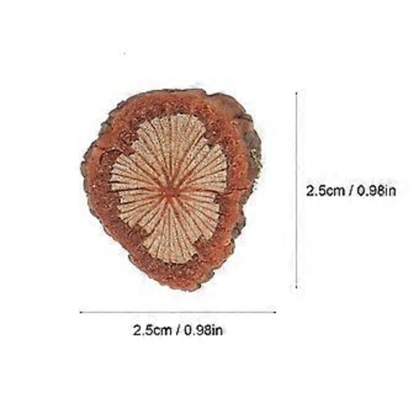 Julkrubba Tillbehör Presentförpackning Etiketter Idylliskt Hantverk DIY Material DIY Ornament Tillbehör