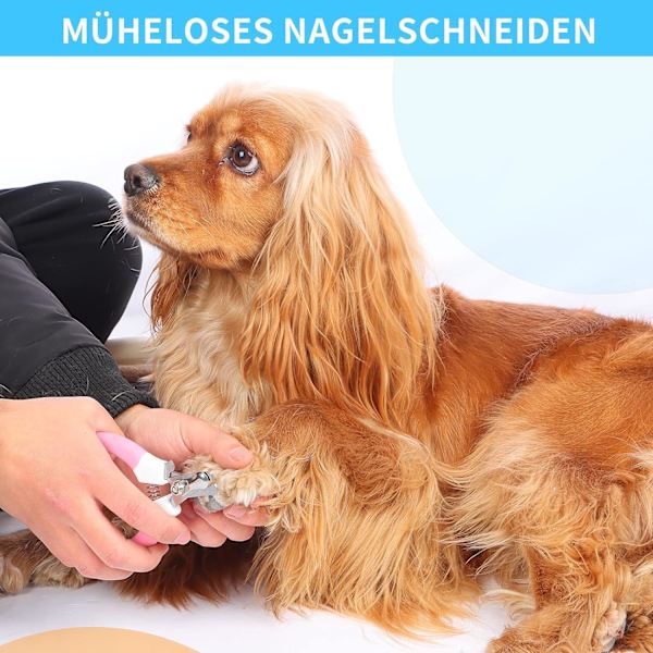 Neglesaks til hunde og katte, klosaks med rustfrit stål